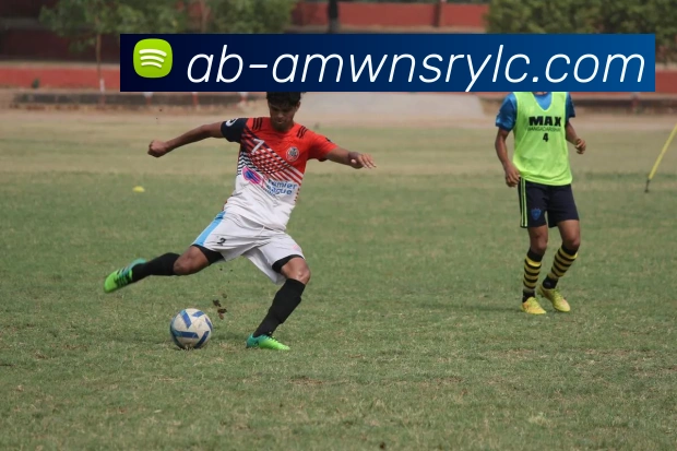 威尼斯人官网平台生态图